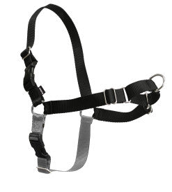 Easy Walk™  Harness