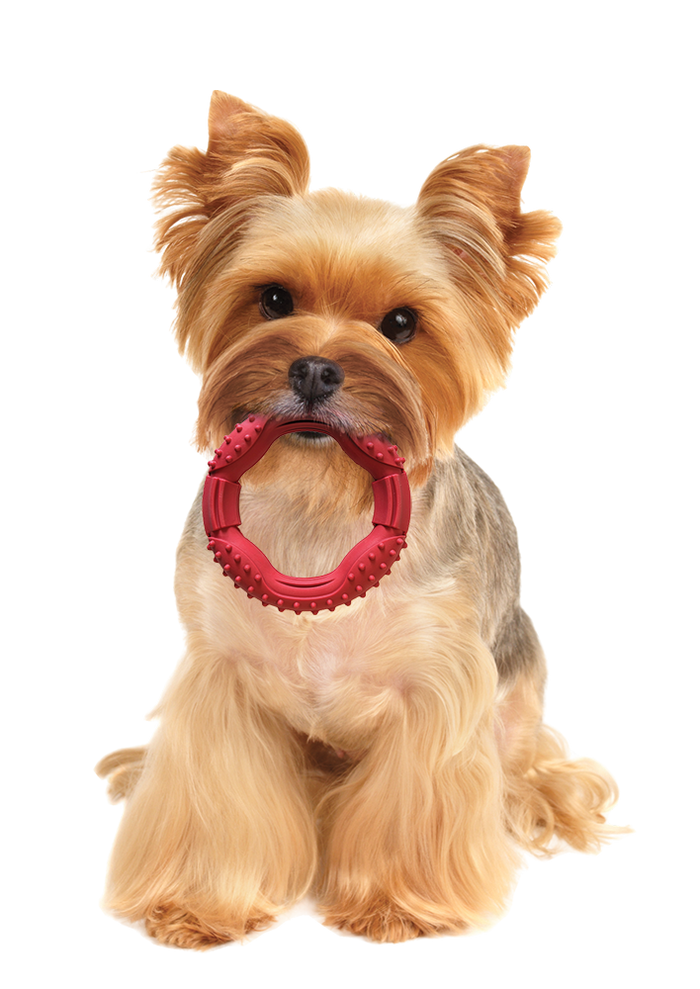 Ethical SPOT Barrett Tough Ring Dog Toy