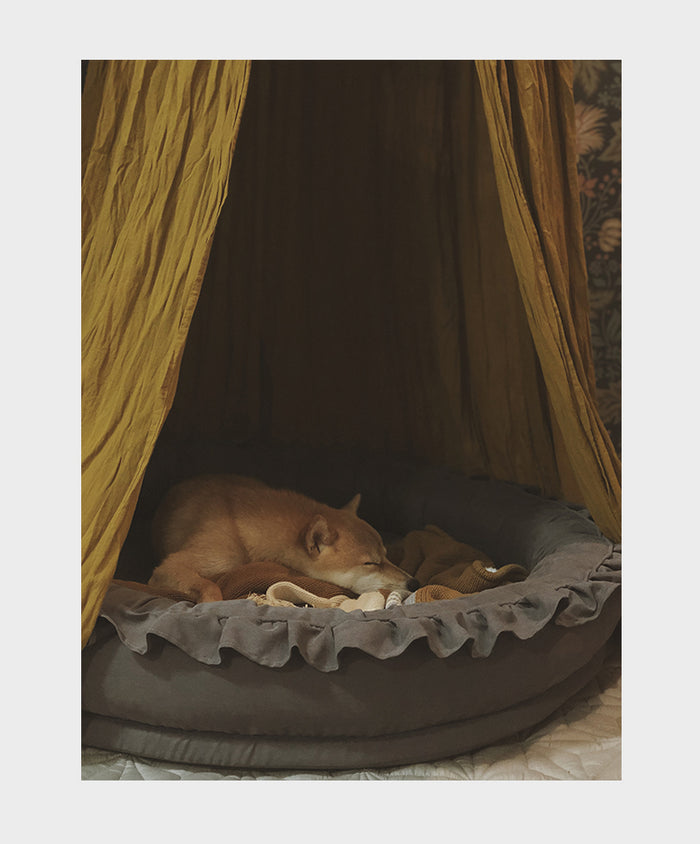 Extra Large Cosy Cotton Pet Bed