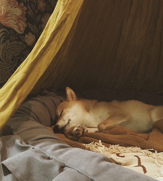 Extra Large Cosy Cotton Pet Bed