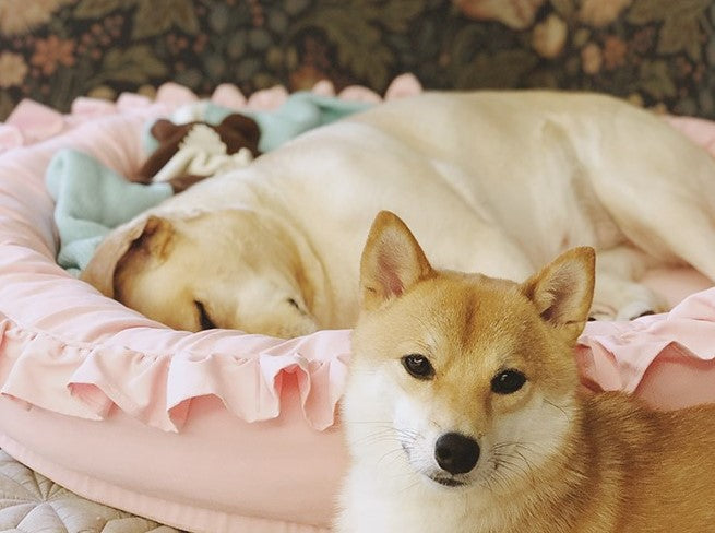 Extra Large Cosy Cotton Pet Bed