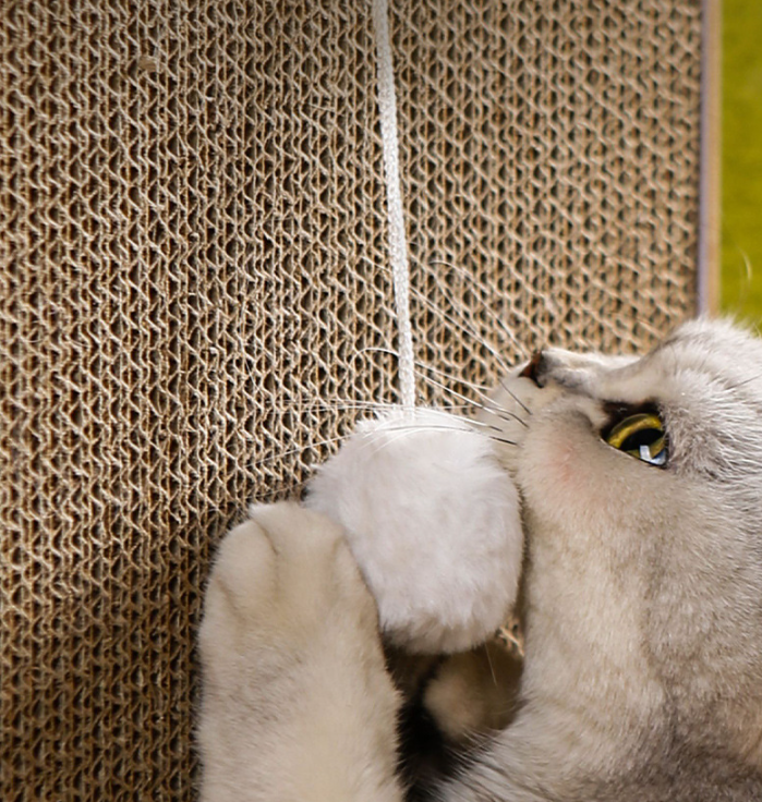 Extra Large L-Shape Cat Scratcher