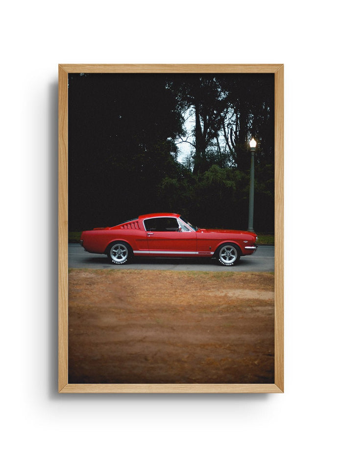 Fastback - Gelstang - East Side Studio - Art Prints