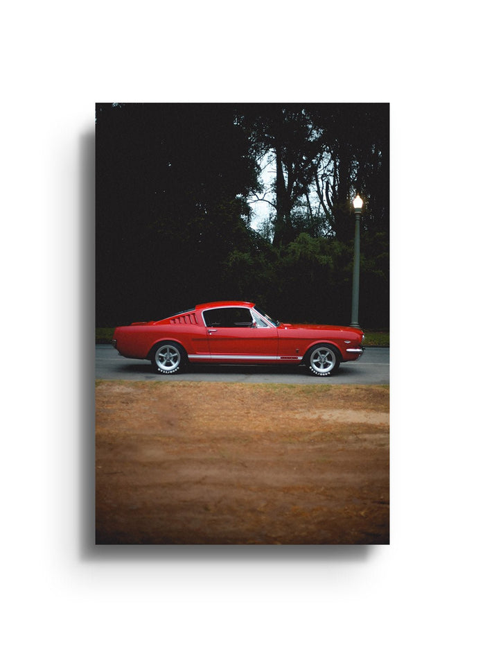 Fastback - Gelstang - East Side Studio - Art Prints