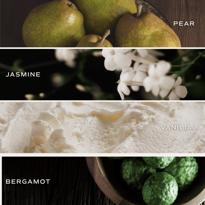Favorite Sweater Soy Candle - Tan Matte Jar - 15 oz (Cashmere and Vanilla) -