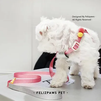 Felizpaws x RePawblic Color Bubble Pet Lead