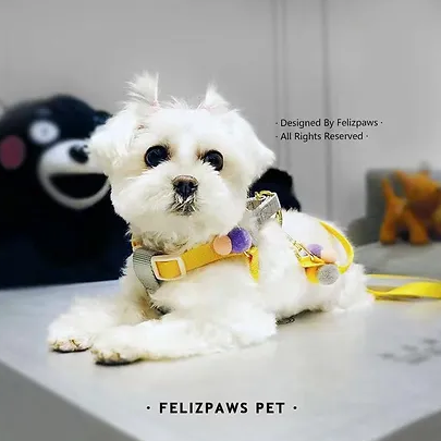 Felizpaws x RePawblic Color Bubble Pet Lead