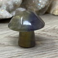 Fluorite Mushroom #05