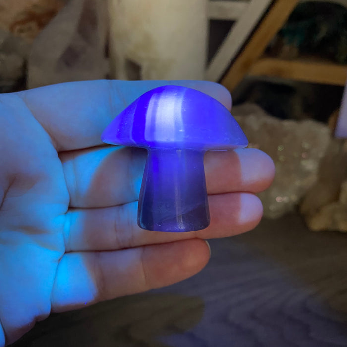 Fluorite Mushroom #05