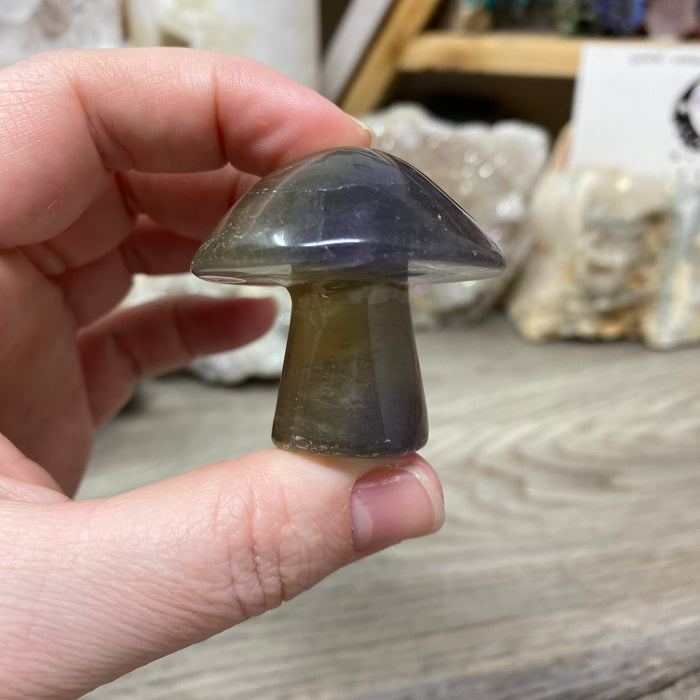 Fluorite Mushroom #05
