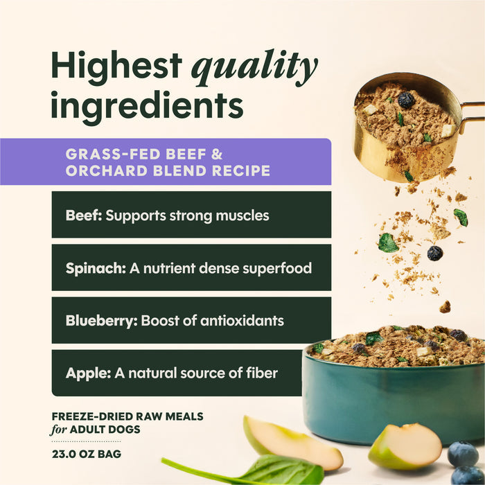 FreshDried Meal Blends Beef & Orchard Blend