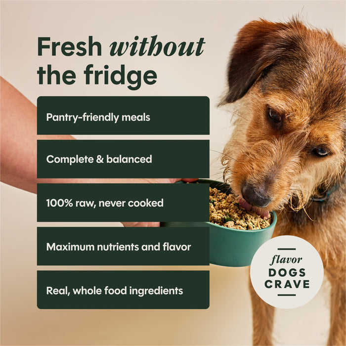 FreshDried Meal Blends Beef & Orchard Blend
