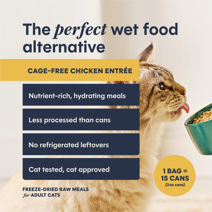 FreshDried Patés Chicken Recipe