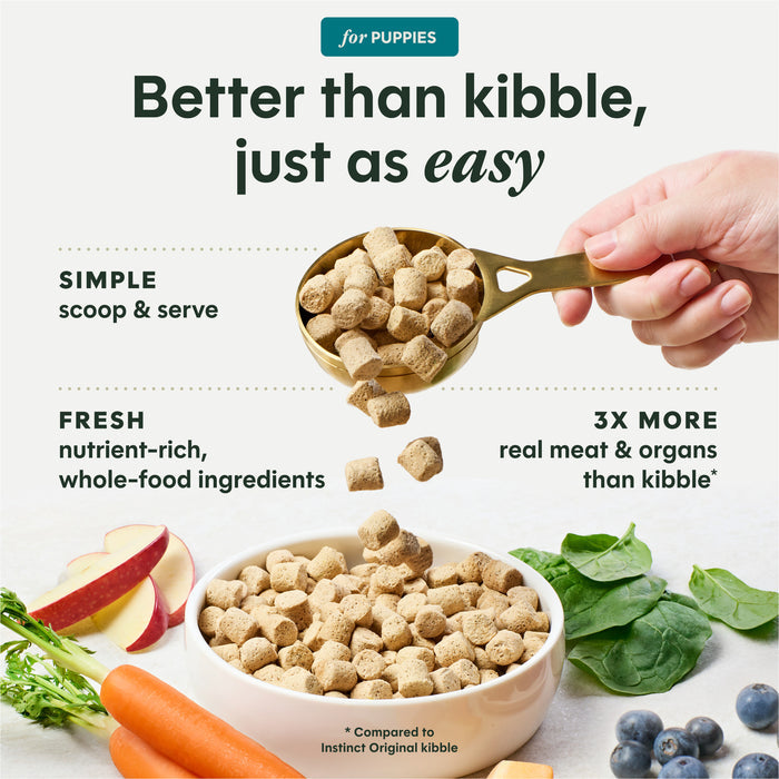 FreshDried Raw Meals for Puppies Chicken Recipe