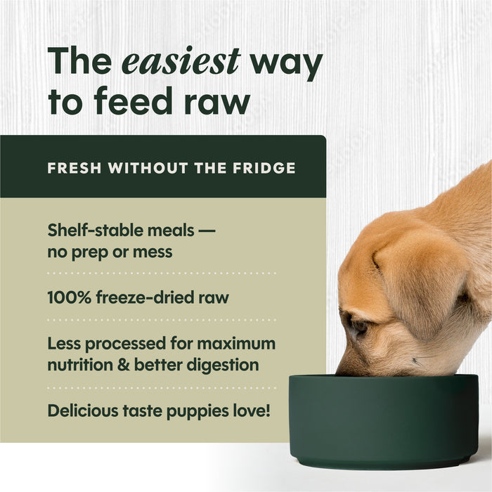 FreshDried Raw Meals for Puppies Chicken Recipe