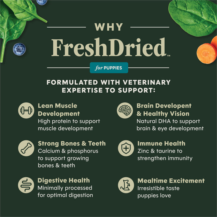 FreshDried Raw Meals for Puppies Chicken Recipe