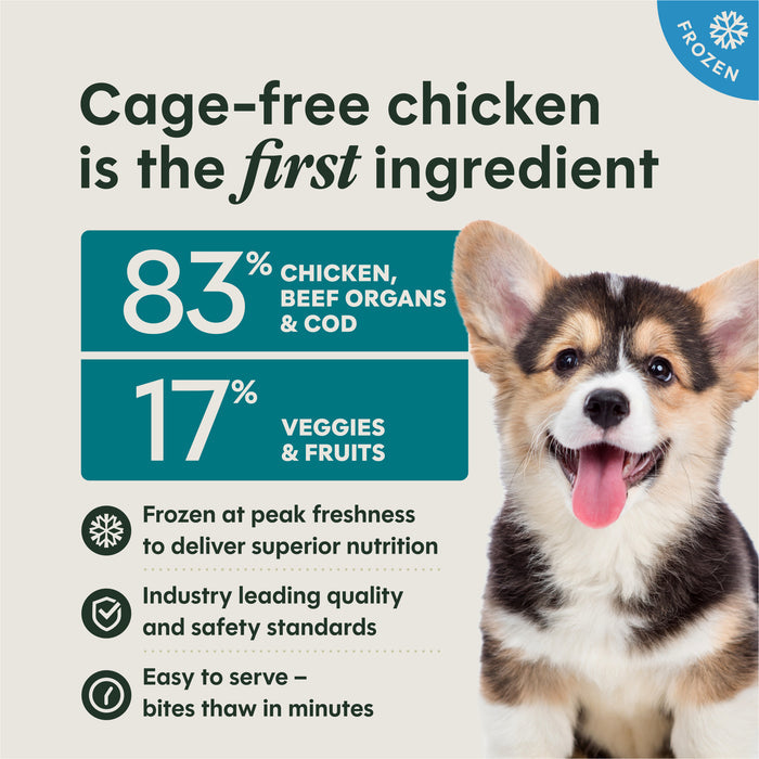 FreshRaw Bites for Puppies Chicken Recipe