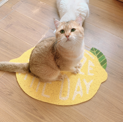 Fruit Nation Cat Litter Tray Mat