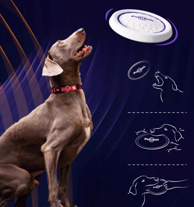 GiGwi Pop-Pals Flying Disc