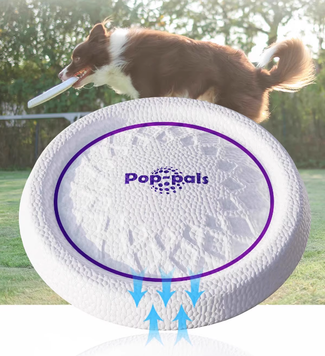 GiGwi Pop-Pals Flying Disc