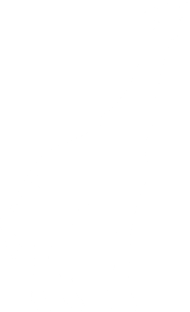 Giraffe Vinyl Decal