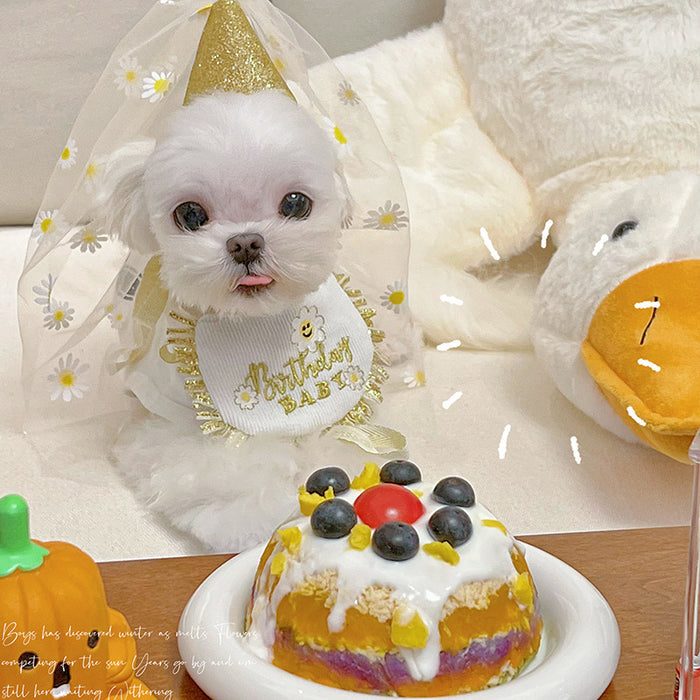 Golden Daisy Birthday Bib Set