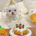 Golden Daisy Birthday Bib Set