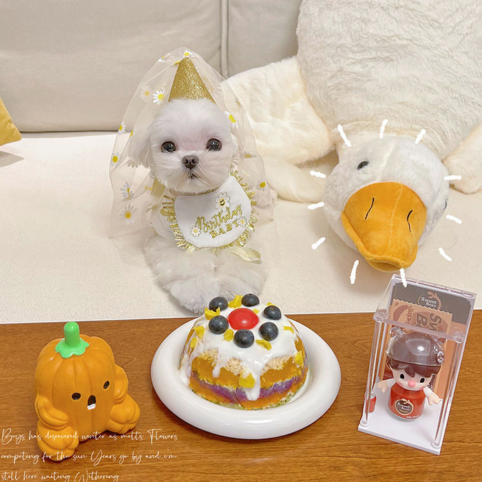 Golden Daisy Birthday Bib Set