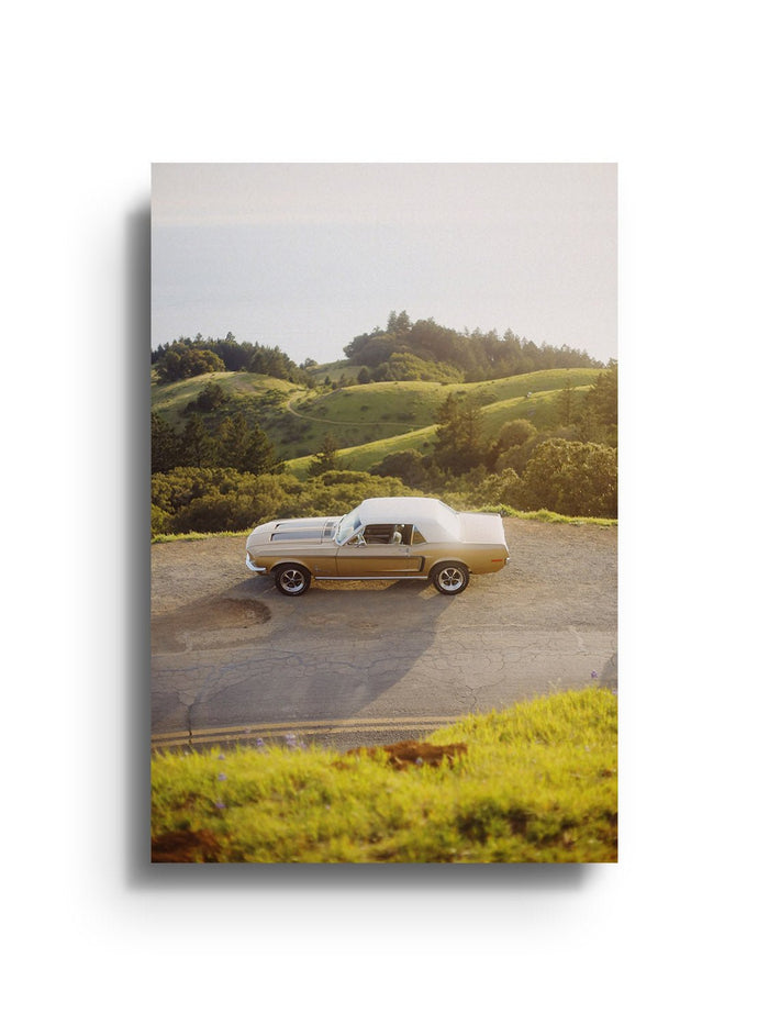 Golden Pony - Gelstang - East Side Studio - Art Prints