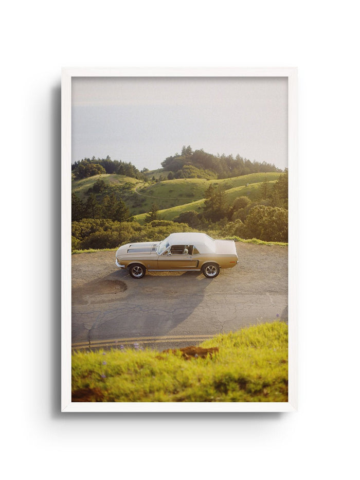Golden Pony - Gelstang - East Side Studio - Art Prints