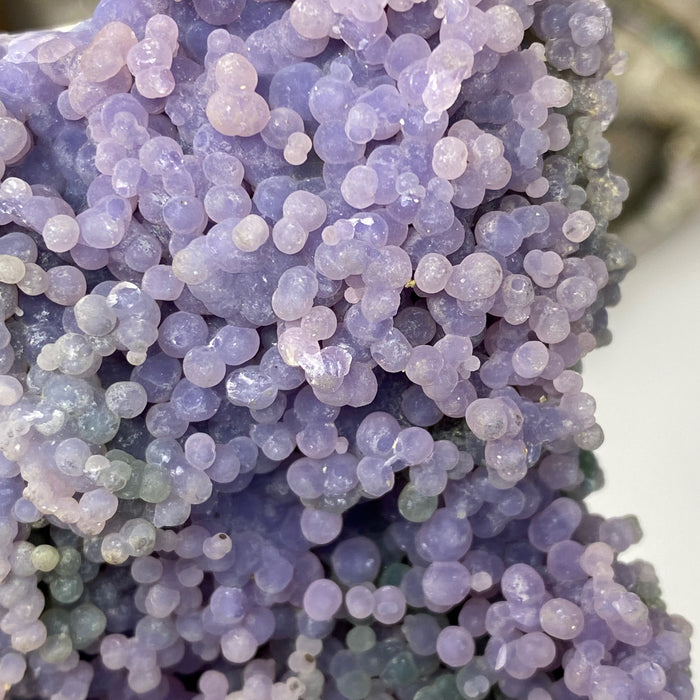 Grape Agate Botryoidal Purple Chalcedony #05