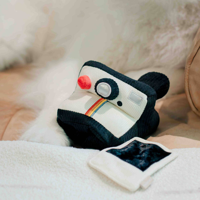Instant Camera Enrichment Toy