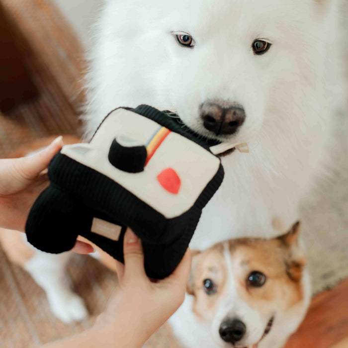 Instant Camera Enrichment Toy
