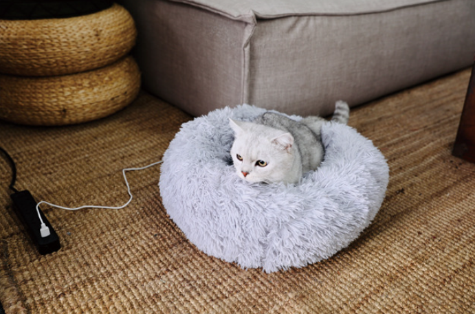 JoyCat Heated Bed