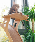 JoyCat Sky Blue Platform with Extra Large Scratcher