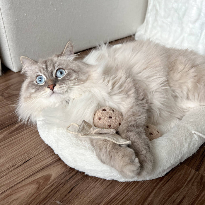 Kitty Tea Time Cookie+Tea