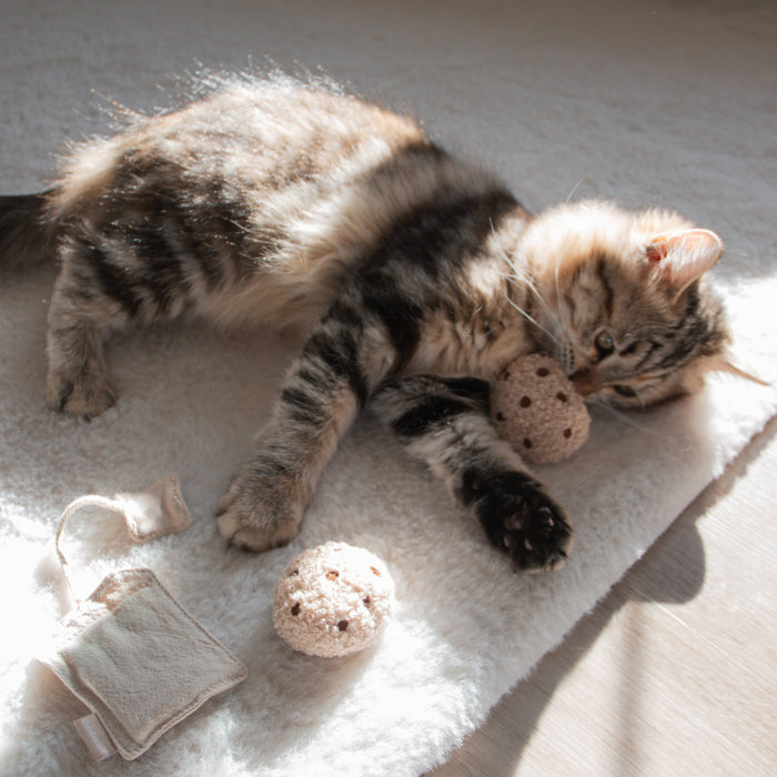 Kitty Tea Time Cookie+Tea