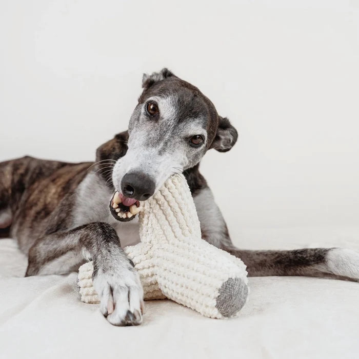 Lambwolf Collective Breuer Enrichment Dog Toy