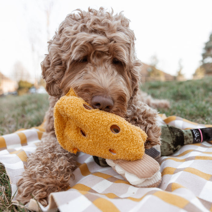 Lambwolf Collective Fromage Enrichment Toy