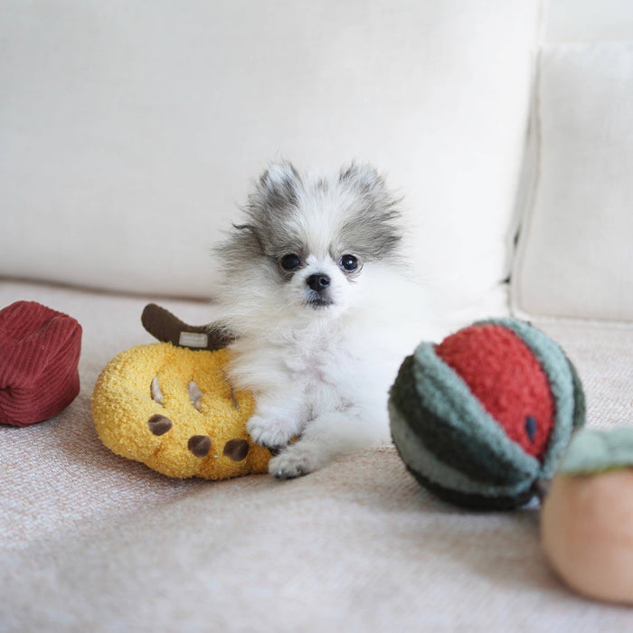 Lambwolf Collective Fruit Set Enrichment Toy