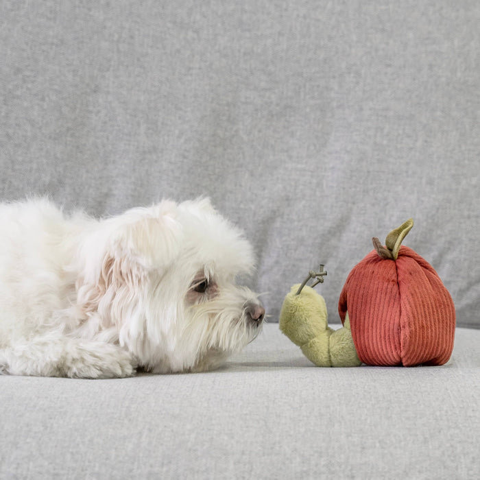 Lambwolf Collective Fruit Set Enrichment Toy