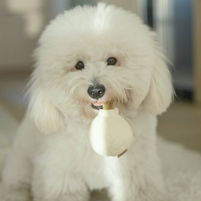 Lambwolf Collective Garlic Toy