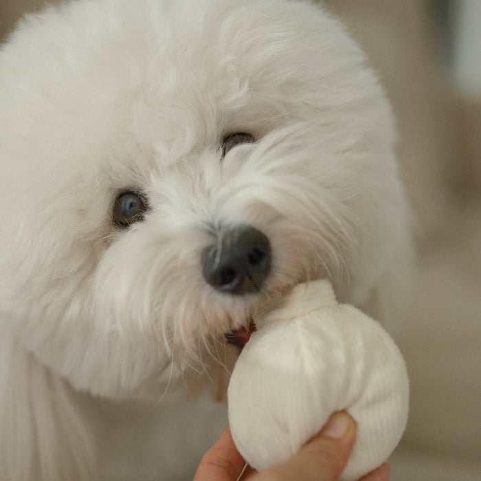 Lambwolf Collective Garlic Toy