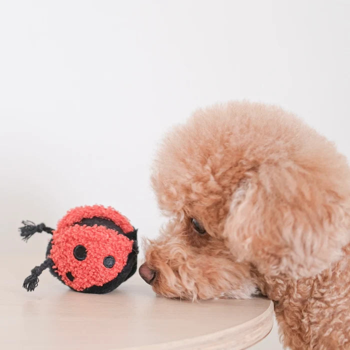 Lambwolf Collective Ladybug Pop Enrichment Toy