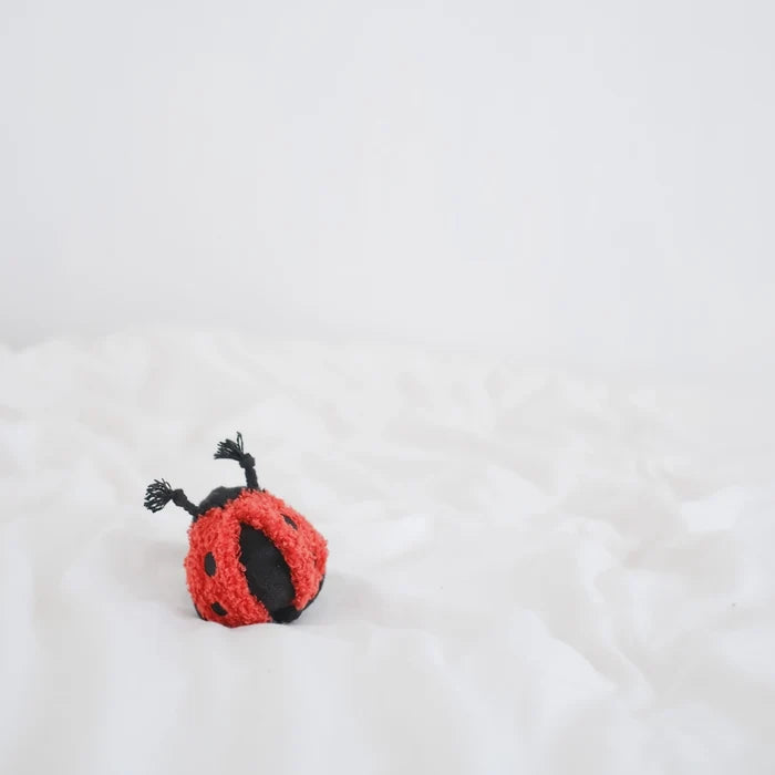 Lambwolf Collective Ladybug Pop Enrichment Toy