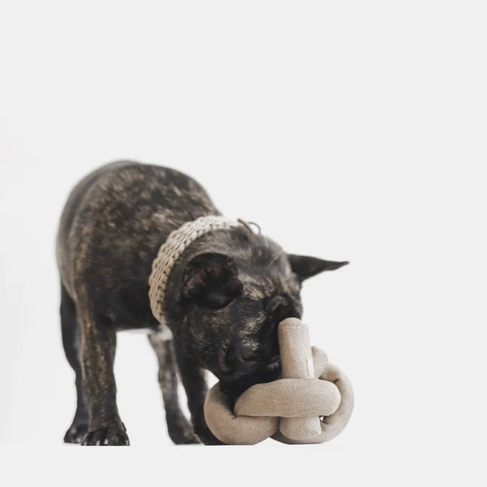 Lambwolf Collective Nounou Tan with Crinkle Clusters Enrichment Dog Toy