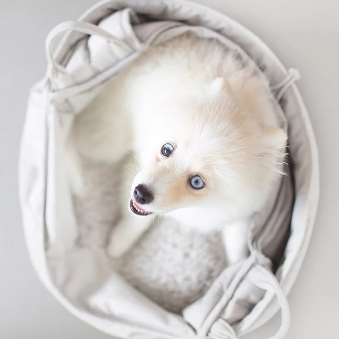 Lambwolf Collective Olla Petite Pet Carrycot