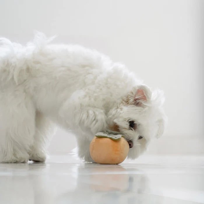 Lambwolf Collective Persimmon Enrichment Toy