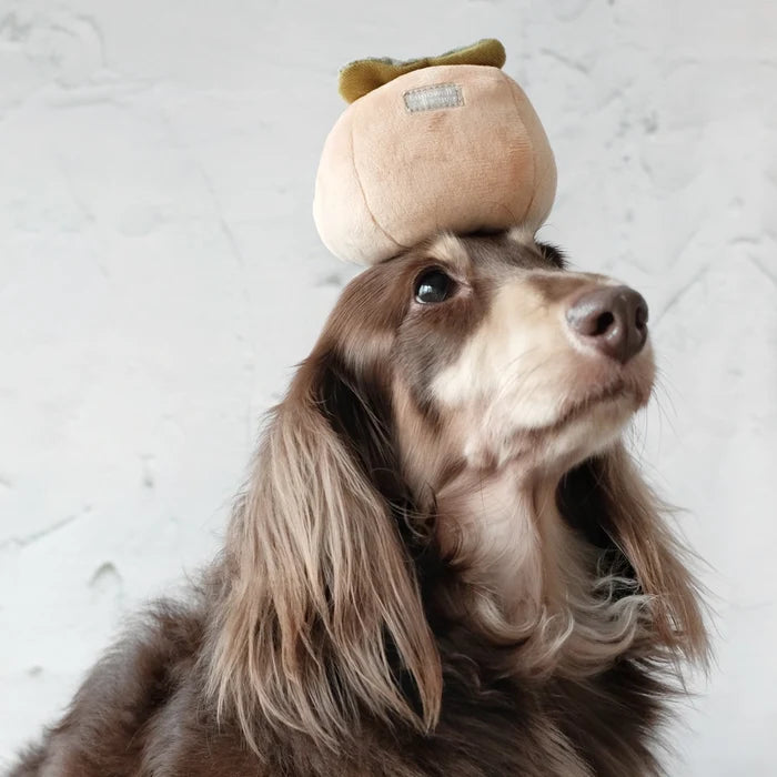 Lambwolf Collective Persimmon Enrichment Toy
