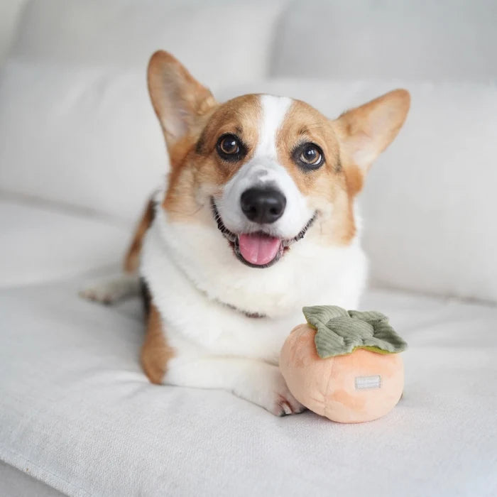 Lambwolf Collective Persimmon Enrichment Toy